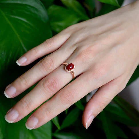 阿卡牛血红珊瑚戒指--红珊瑚-阿卡-B107719G08004