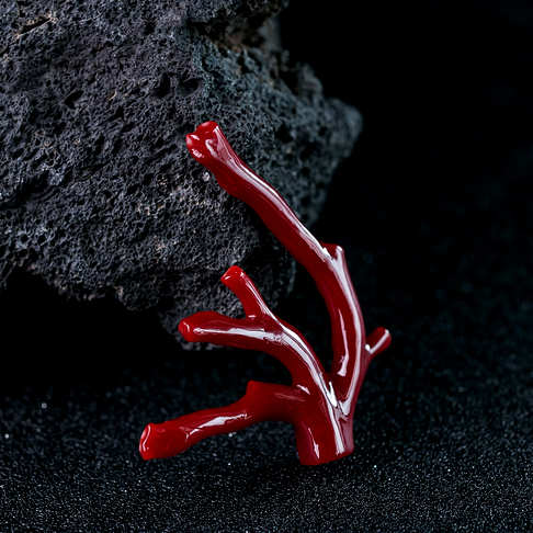 阿卡牛血红珊瑚原枝--红珊瑚-阿卡-B10AJ18F09003