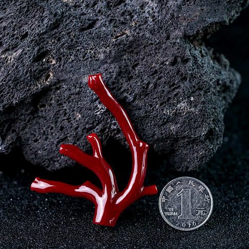 阿卡牛血红珊瑚原枝--红珊瑚-阿卡-B10AJ18F09003