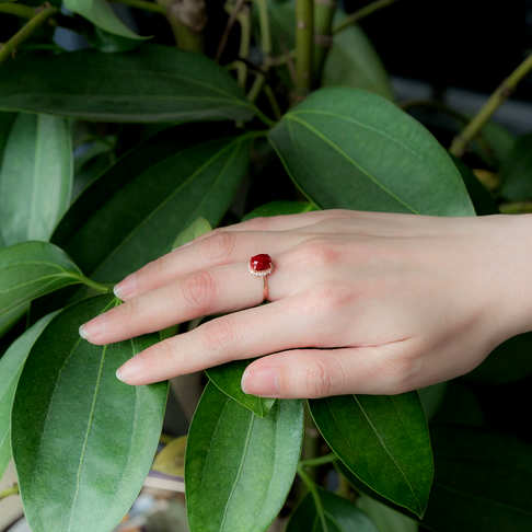 阿卡牛血红珊瑚戒指--红珊瑚-阿卡-B10J818D23012