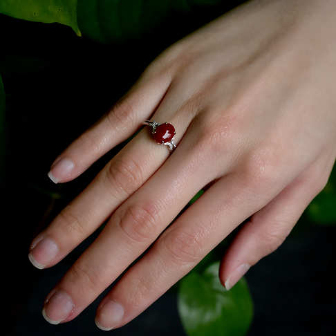 阿卡牛血红珊瑚戒指--红珊瑚-阿卡-F10CA19C16003