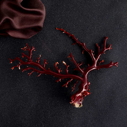 阿卡牛血红珊瑚树枝摆件--红珊瑚-阿卡-F10CA22E13001