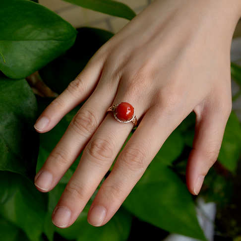 阿卡珊瑚圆形戒指--红珊瑚-阿卡-F10I120F05008